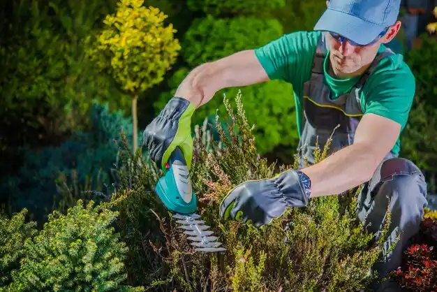 landscaping services Caruthersville